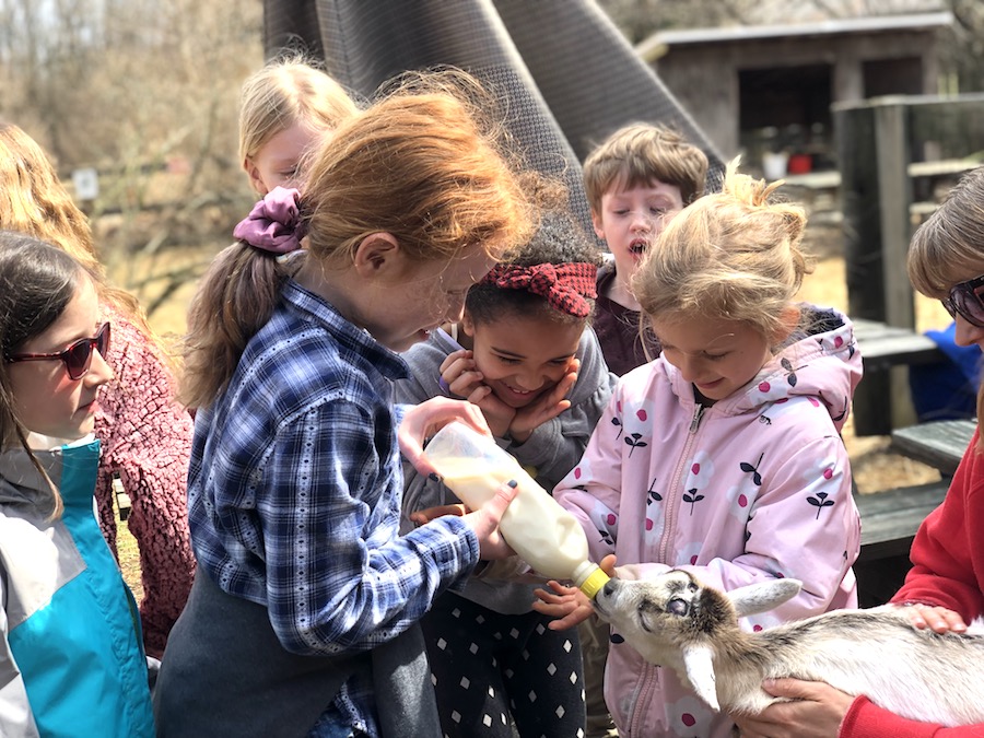 Young students meeting a baby goat